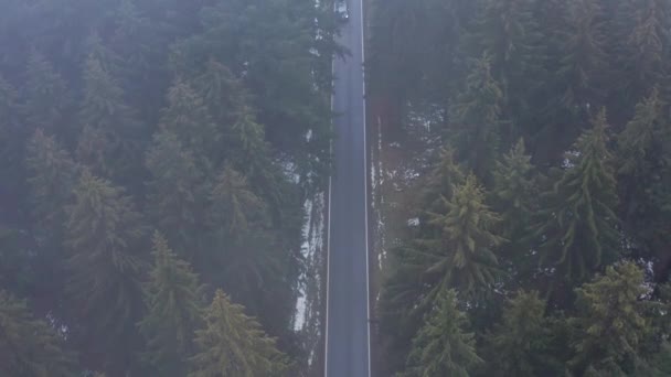 Yukarıdan Sisli Bir Kış Ormanında Giden Bir Araba — Stok video
