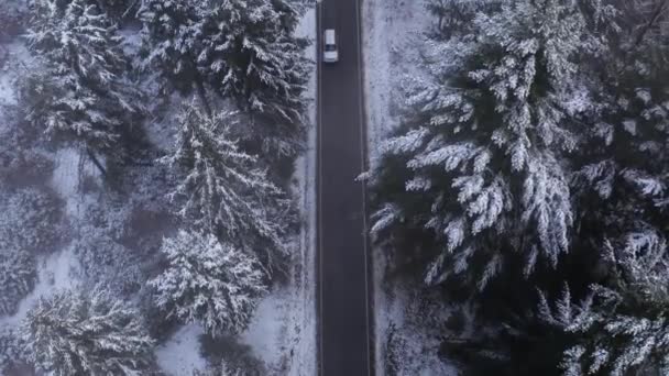 Samochody Jadące Ulicą Zimowym Lesie Sfilmowane Góry — Wideo stockowe