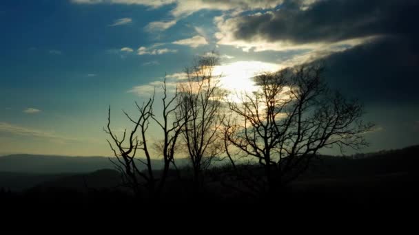 Winterboom Silhouetten Voor Een Prachtige Zonsondergang Gefilmd — Stockvideo