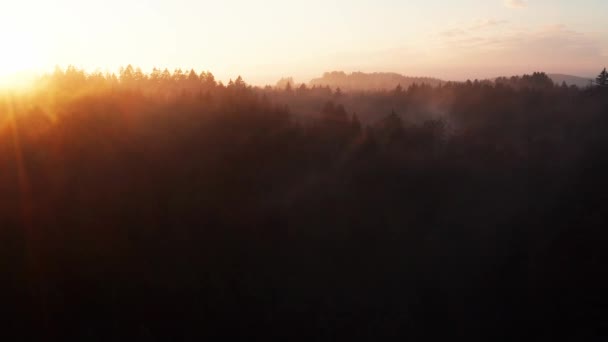 Zimní Siluety Stromů Před Krásným Západem Slunce Natočené — Stock video