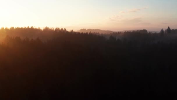 Kış Ağacı Siluetleri Güzel Bir Günbatımının Önünde Çekildi — Stok video
