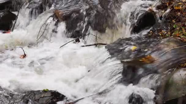 Ein Herbstlicher Bach Mit Wildem Wasser Nahaufnahme — Stockvideo