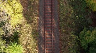 Bir sonbahar ormanında boş tren rayları 4K 'da çekildi.