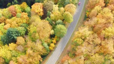 Sonbahar ormanı yolundaki araba trafiği 4K 'da çekildi.