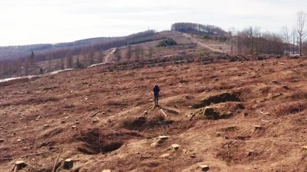 Uomo Piedi Una Collina Bosco Abbattuto — Video Stock