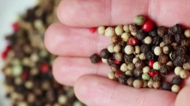 Bir insanın elinde renkli biber.