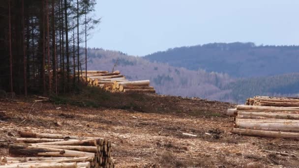 Una Moderna Máquina Forestal Que Trabaja Una Colina Forestal Muerta — Vídeos de Stock