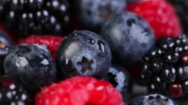 Taze böğürtlen karışımı.