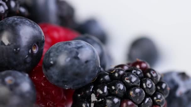 Eine Frische Mischung Aus Beeren Aus Nächster Nähe — Stockvideo