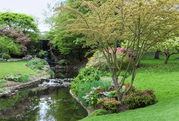 Hyde Park, London, Waterfall in Spring Blossom — Stock Photo, Image