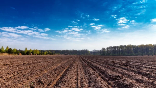 Terreno agrícola —  Fotos de Stock