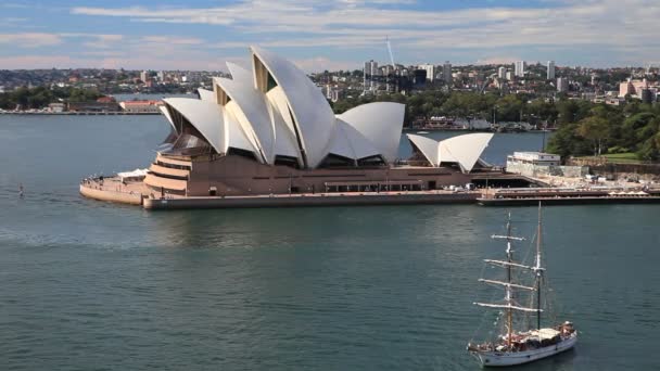 Ιστιοπλοΐα στο λιμάνι Τζάκσον, όπερα Σίδνεϊ, Αυστραλία — Αρχείο Βίντεο