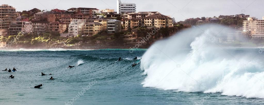 Manly Shore