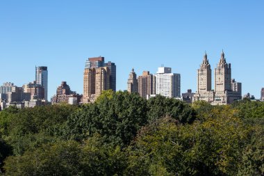 New york binalar