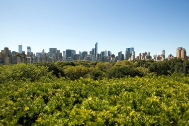New york binalar