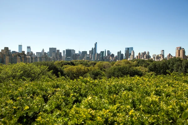 New york gebouwen — Stockfoto