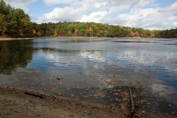 Walden Pond: ősz — Stock Fotó
