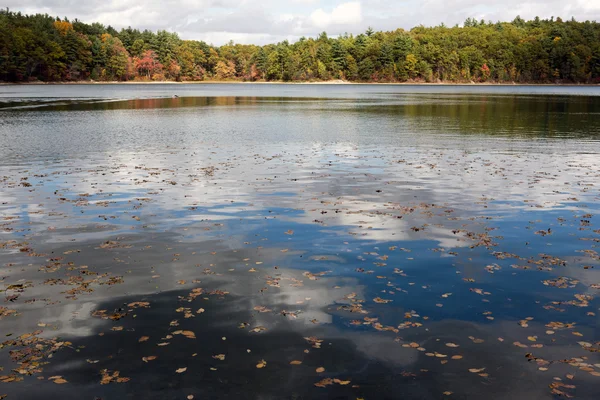 Walden Pond à l'automne — Photo