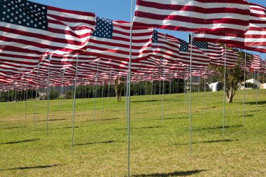 Amerikan bayrakları