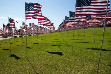 Amerikan bayrakları