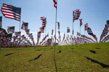 Amerikan bayrakları
