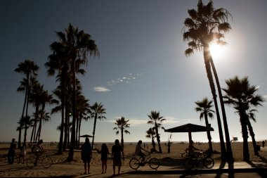 Venice beach Los Angeles 
