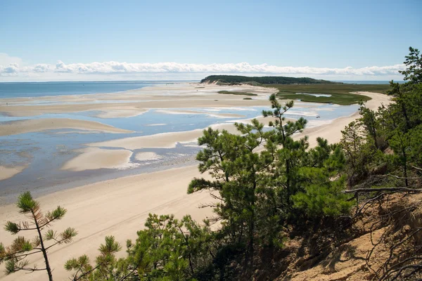 Welfleet bay — Stock Photo, Image