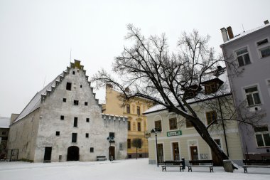 Ceske Budejovice evleri