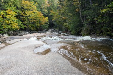 sonbahar orman ve su