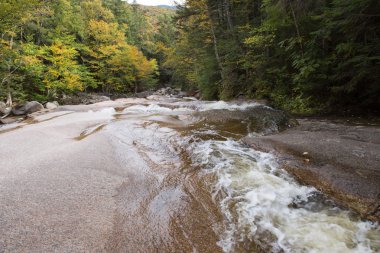 sonbahar orman ve su