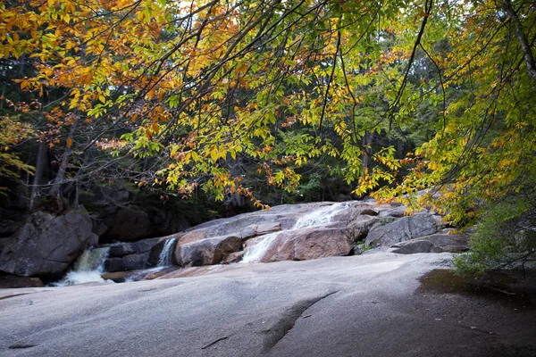 Herbstwald und Wasser — Stockfoto