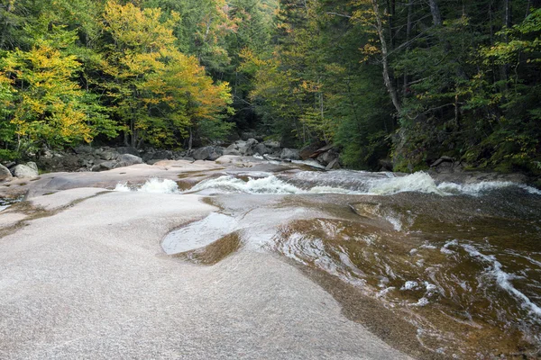 sonbahar orman ve su