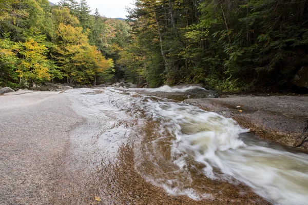 Forêt d'automne et eau — Photo