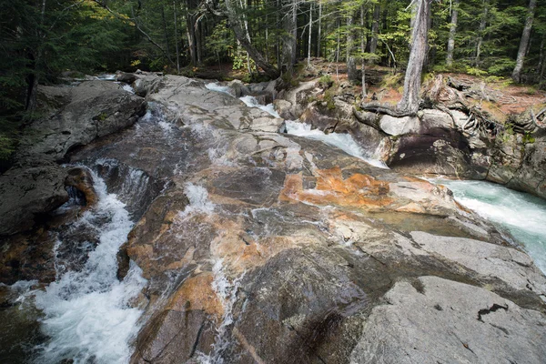 Herbstwald und Wasser — Stockfoto