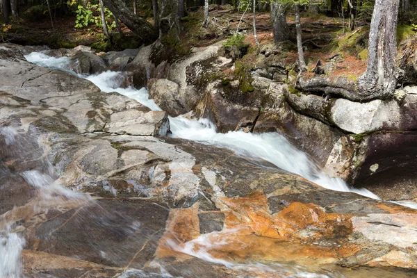 Herbstwald und Wasser — Stockfoto