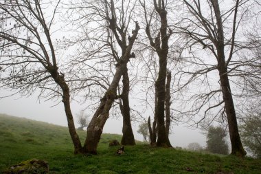 Sis içinde Fransızca Pyrenees dağ 