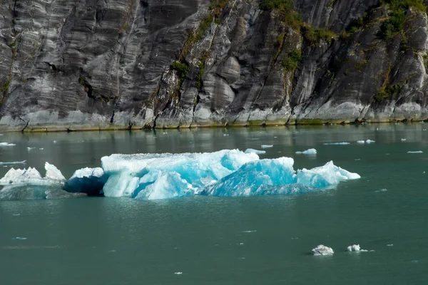 阿拉斯加朱诺附近特雷西阿姆峡湾中漂浮的小冰山 — 图库照片