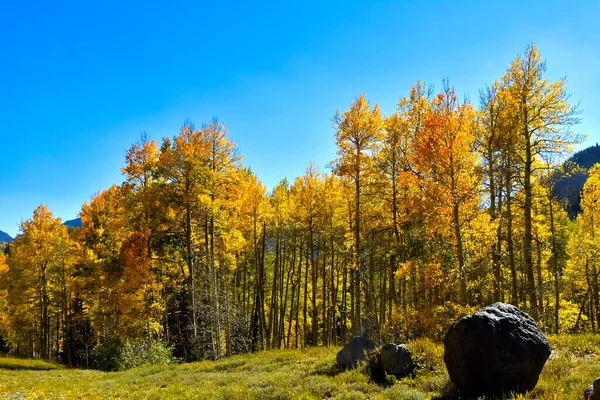 Cores Queda San Juan Skyway Colorado — Fotografia de Stock