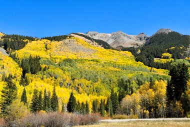 Colorado 'daki San Juan Skyway' de sonbaharda Aspens.