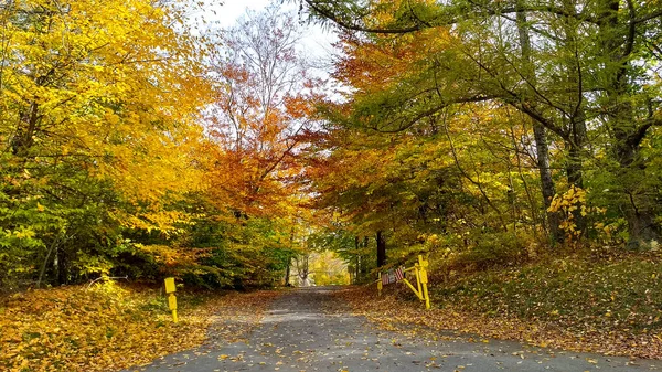 Проехать Через Осенние Листья Пенсильвании — стоковое фото