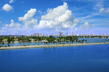 miami şehri