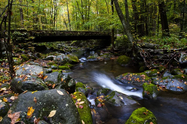 Corriente en otoño en el Parque Nacional Smoky Mountain — Foto de Stock