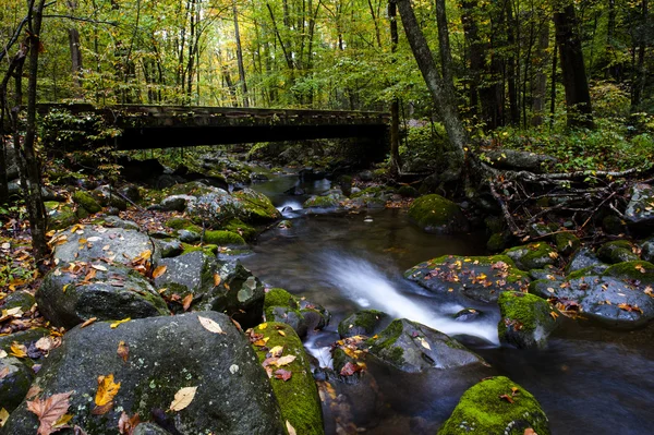 Fluxo no outono no Smoky Mountain National Park Imagens De Bancos De Imagens