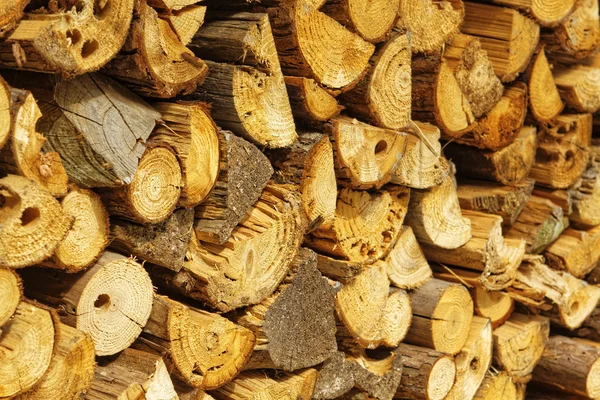 Natural wooden logs — Stock Photo, Image