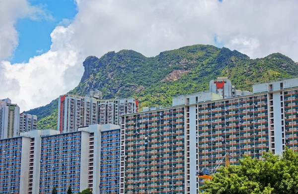 Hong Kong nieruchomości publicznych z landmark lion rock — Zdjęcie stockowe