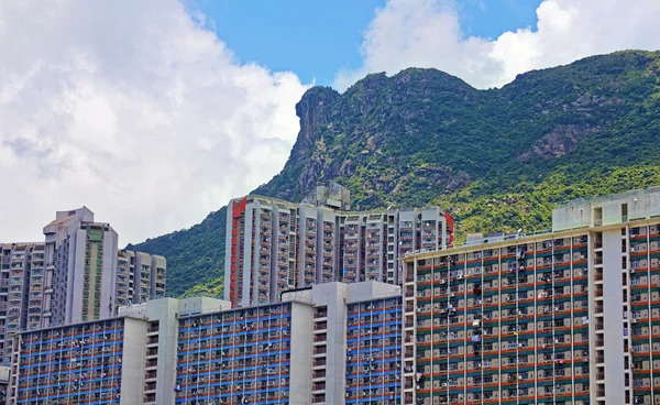 香港公屋与地标狮子山 — 图库照片