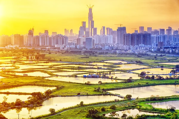 Por do sol em hong kong campo — Fotografia de Stock