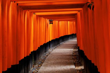 Fushimi Inari Tapınak