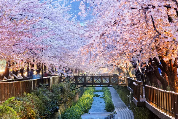 Ciudad de Busan en Corea del Sur — Foto de Stock