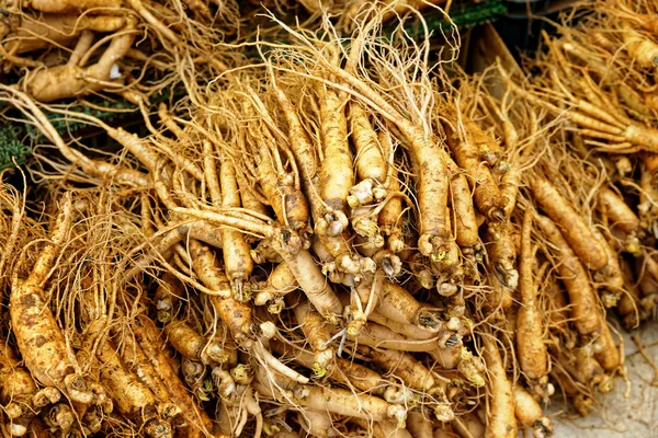 Multitud de ginseng real —  Fotos de Stock